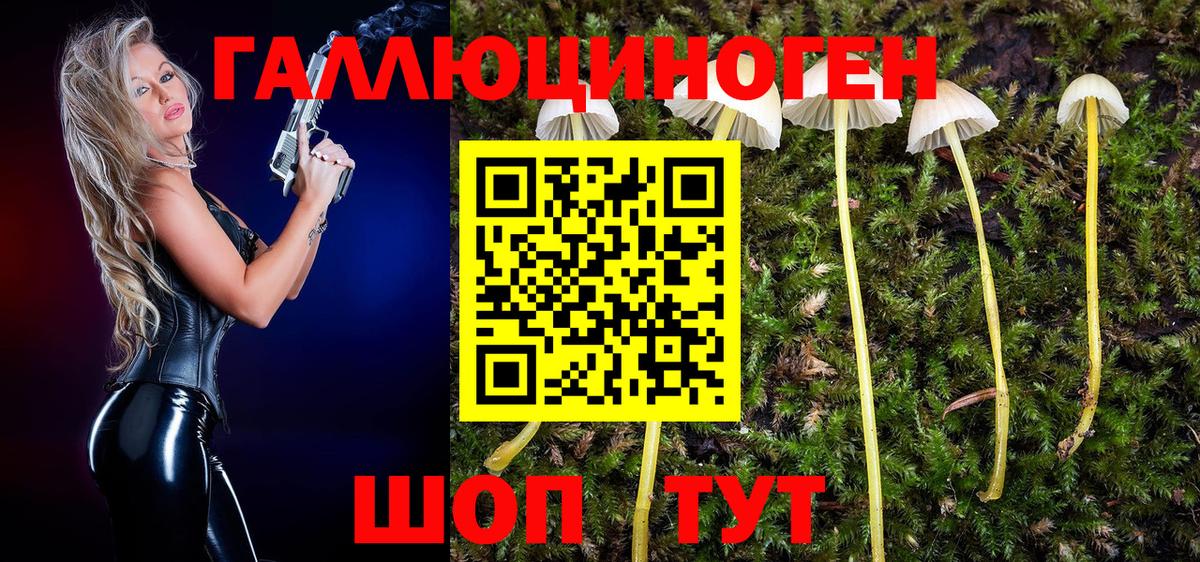 Галлюциногенные грибы мухоморы Сафоново
